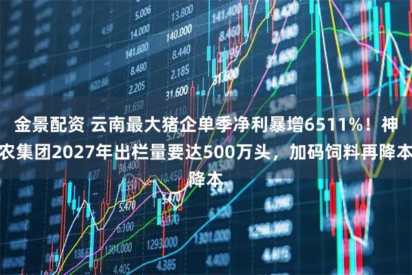 金景配资 云南最大猪企单季净利暴增6511%！神农集团2027年出栏量要达500万头，加码饲料再降本