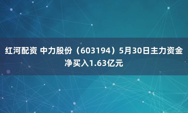 红河配资 中力股份（603194）5月30日主力资金净买入1.63亿元