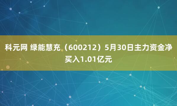 科元网 绿能慧充（600212）5月30日主力资金净买入1.01亿元