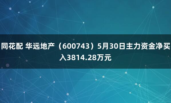 同花配 华远地产（600743）5月30日主力资金净买入3814.28万元