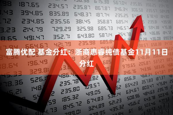 富腾优配 基金分红:浙商惠睿纯债基金11月11日分红