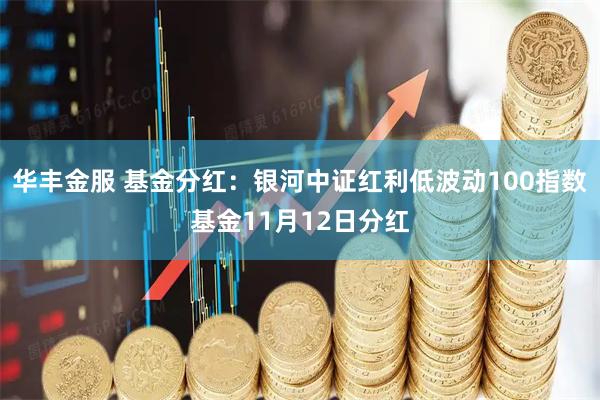 华丰金服 基金分红:银河中证红利低波动100指数基金11月12日分红