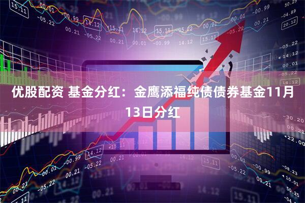 优股配资 基金分红:金鹰添福纯债债券基金11月13日分红