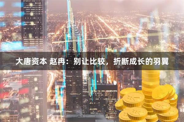 大唐资本 赵冉:别让比较,折断成长的羽翼