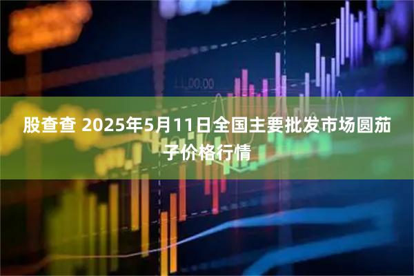股查查 2025年5月11日全国主要批发市场圆茄子价格行情