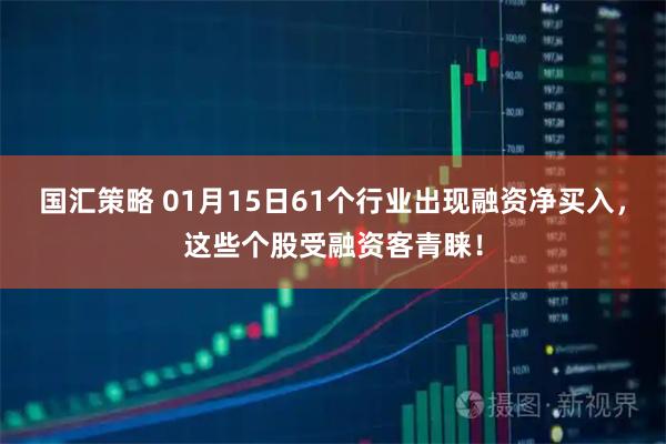 国汇策略 01月15日61个行业出现融资净买入，这些个股受融资客青睐！